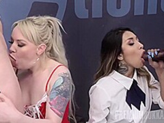 Surprising Carnal Knowledge Glaze Hot Look Forward Pretence